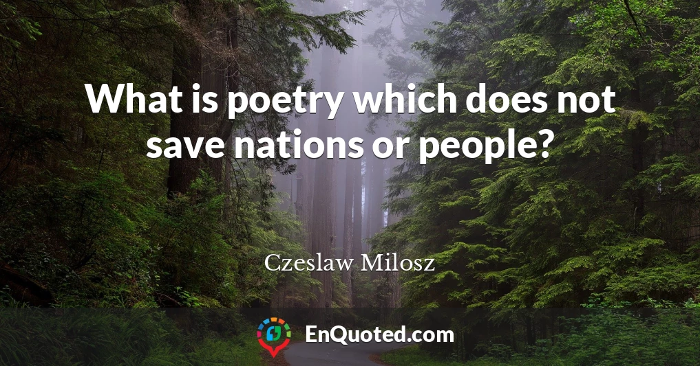 What is poetry which does not save nations or people?