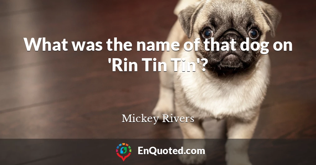 What was the name of that dog on 'Rin Tin Tin'?
