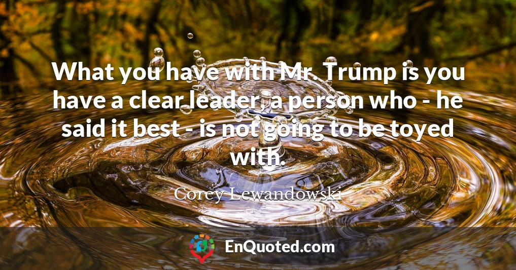 What you have with Mr. Trump is you have a clear leader, a person who - he said it best - is not going to be toyed with.
