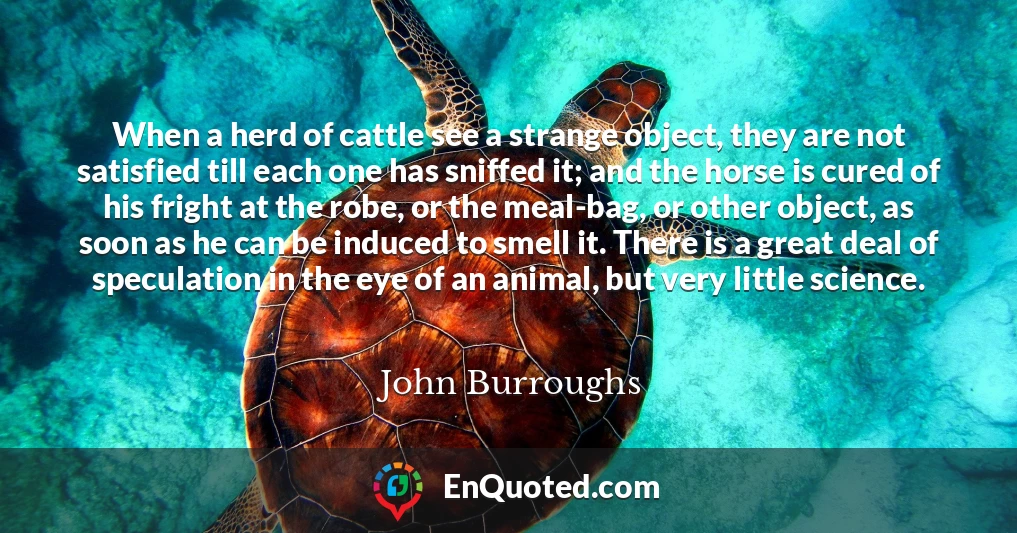 When a herd of cattle see a strange object, they are not satisfied till each one has sniffed it; and the horse is cured of his fright at the robe, or the meal-bag, or other object, as soon as he can be induced to smell it. There is a great deal of speculation in the eye of an animal, but very little science.