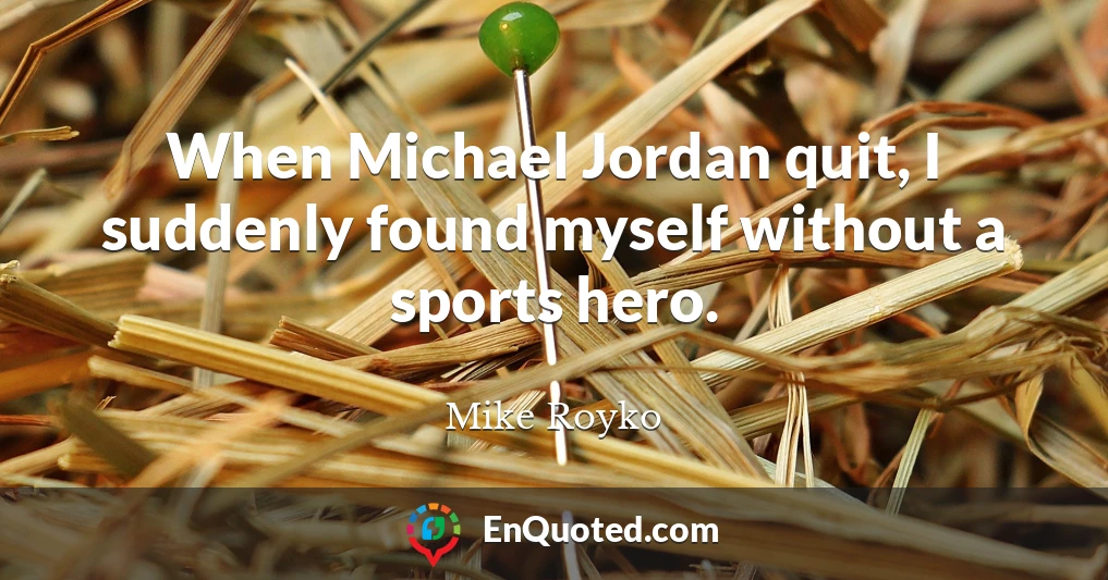 When Michael Jordan quit, I suddenly found myself without a sports hero.