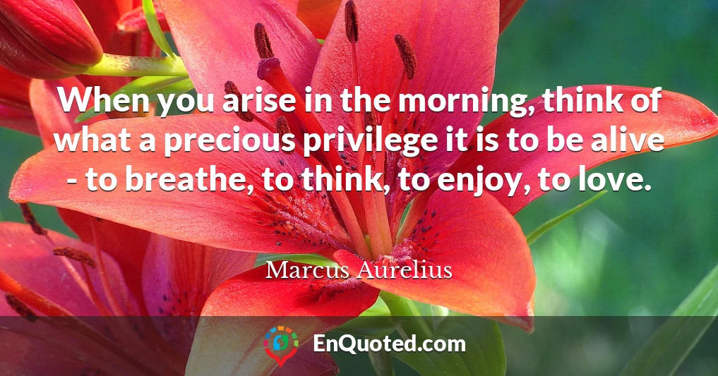 When you arise in the morning, think of what a precious privilege it is to be alive - to breathe, to think, to enjoy, to love.
