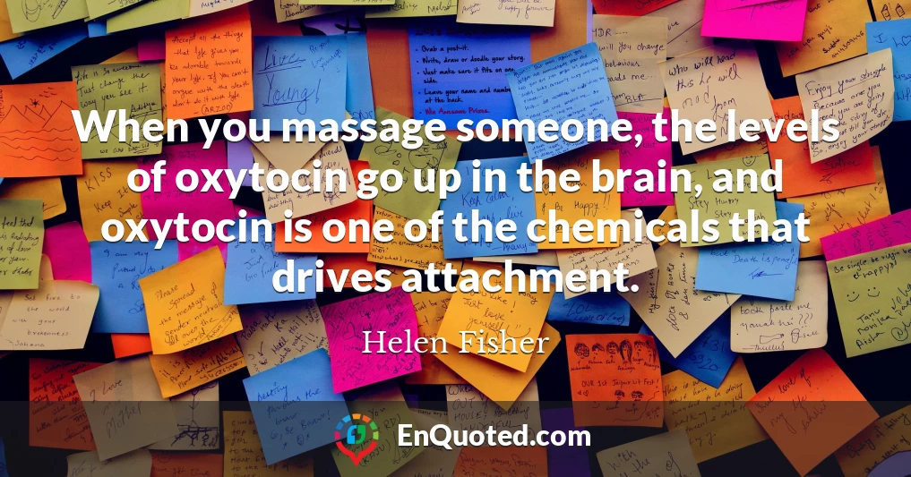When you massage someone, the levels of oxytocin go up in the brain, and oxytocin is one of the chemicals that drives attachment.
