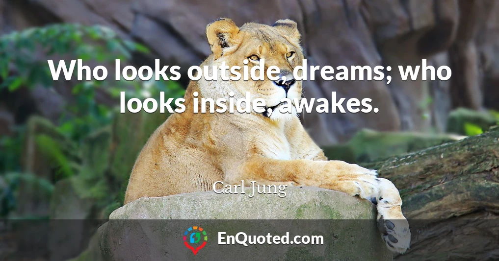 Who looks outside, dreams; who looks inside, awakes.