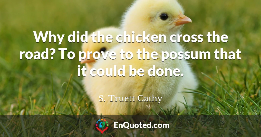 Why did the chicken cross the road? To prove to the possum that it could be done.