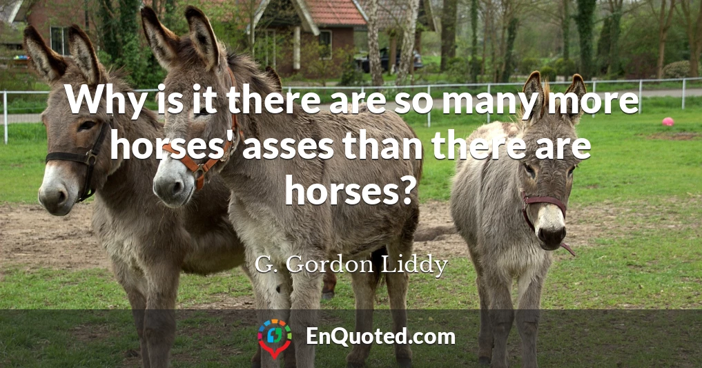 Why is it there are so many more horses' asses than there are horses?