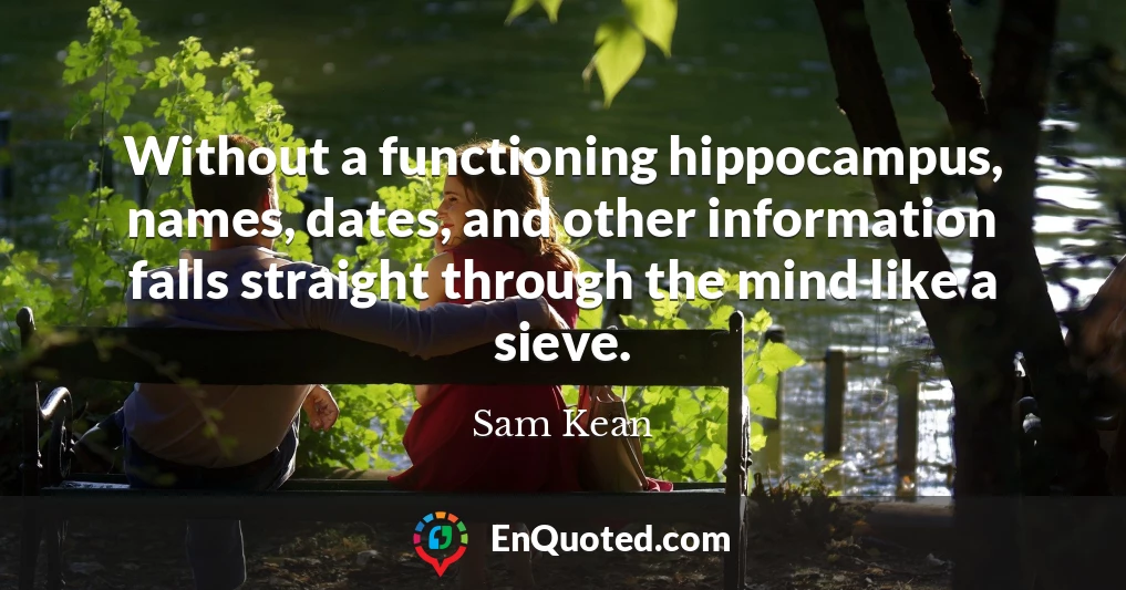 Without a functioning hippocampus, names, dates, and other information falls straight through the mind like a sieve.