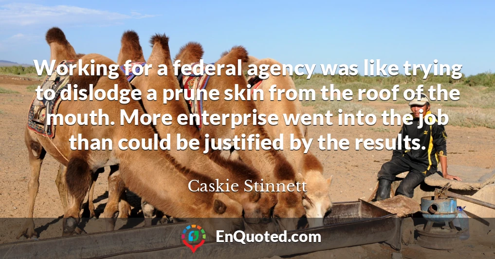 Working for a federal agency was like trying to dislodge a prune skin from the roof of the mouth. More enterprise went into the job than could be justified by the results.