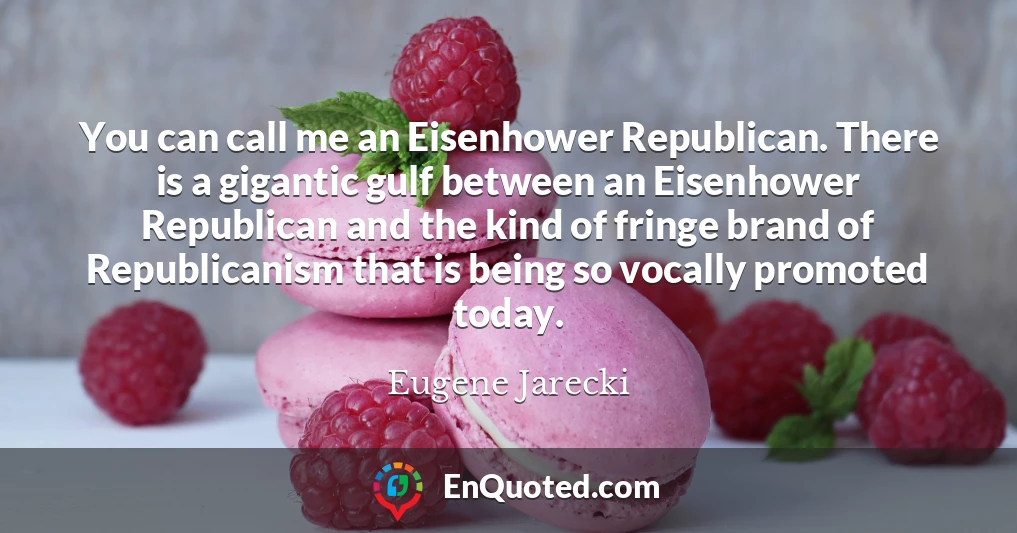 You can call me an Eisenhower Republican. There is a gigantic gulf between an Eisenhower Republican and the kind of fringe brand of Republicanism that is being so vocally promoted today.