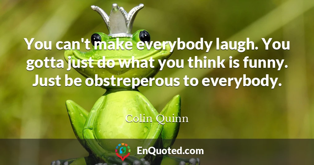 You can't make everybody laugh. You gotta just do what you think is funny. Just be obstreperous to everybody.