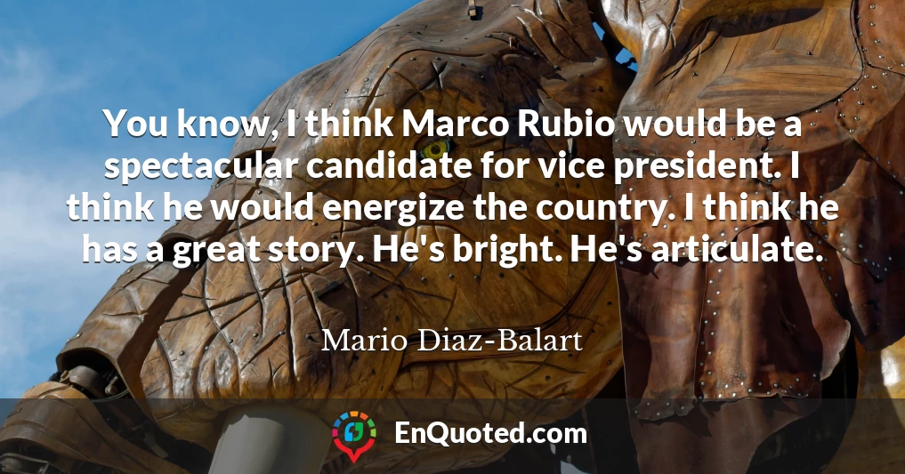 You know, I think Marco Rubio would be a spectacular candidate for vice president. I think he would energize the country. I think he has a great story. He's bright. He's articulate.