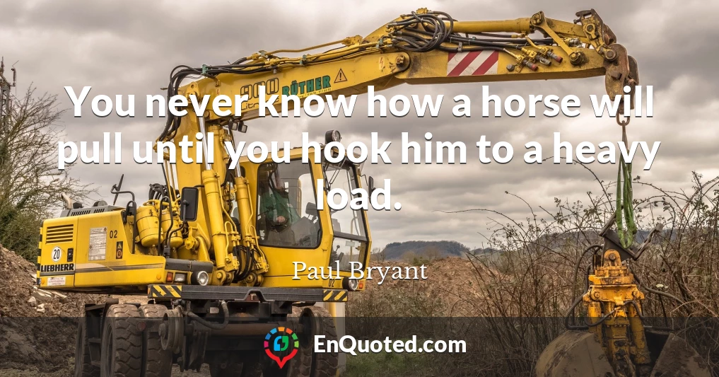 You never know how a horse will pull until you hook him to a heavy load.