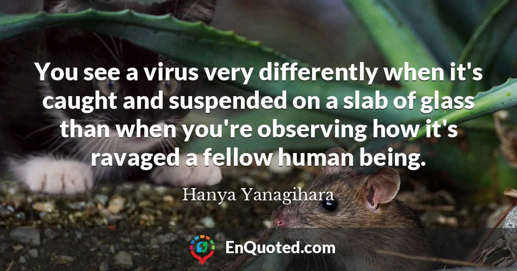 You see a virus very differently when it's caught and suspended on a slab of glass than when you're observing how it's ravaged a fellow human being. You see a virus very differently when it's caught and suspended on a slab of glass than when you're observing how it's ravaged a fellow human being.