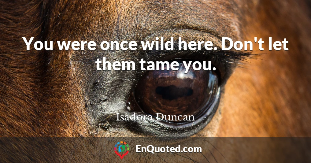 You were once wild here. Don't let them tame you.