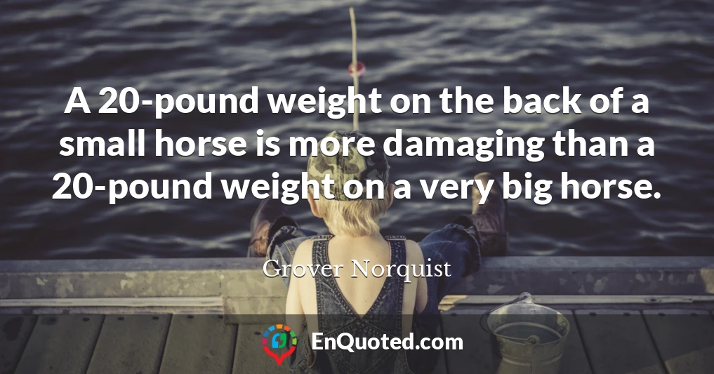 A 20-pound weight on the back of a small horse is more damaging than a 20-pound weight on a very big horse.