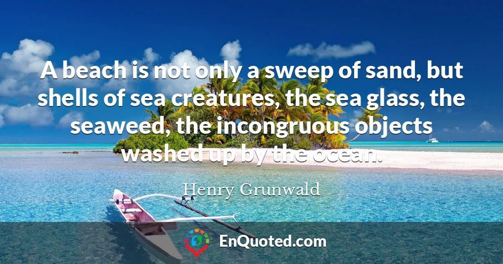 A beach is not only a sweep of sand, but shells of sea creatures, the sea glass, the seaweed, the incongruous objects washed up by the ocean.