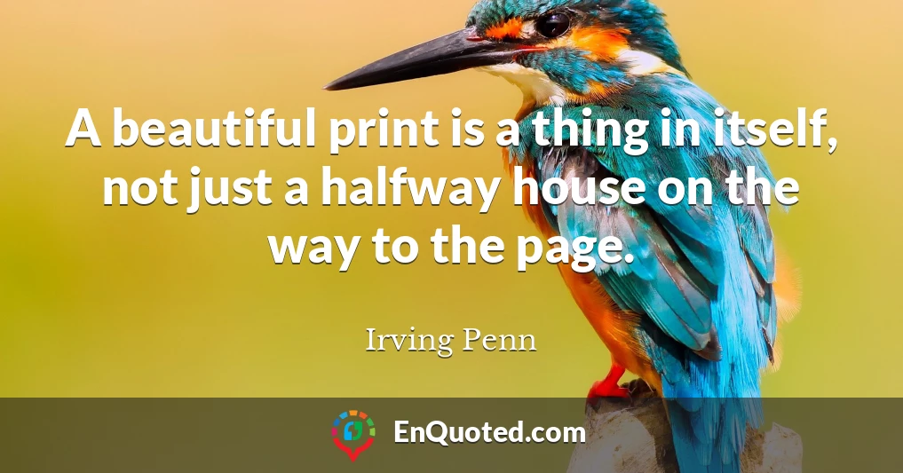 A beautiful print is a thing in itself, not just a halfway house on the way to the page.