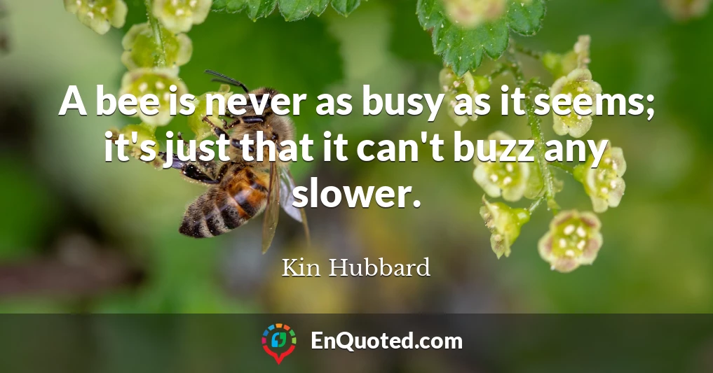 A bee is never as busy as it seems; it's just that it can't buzz any slower.