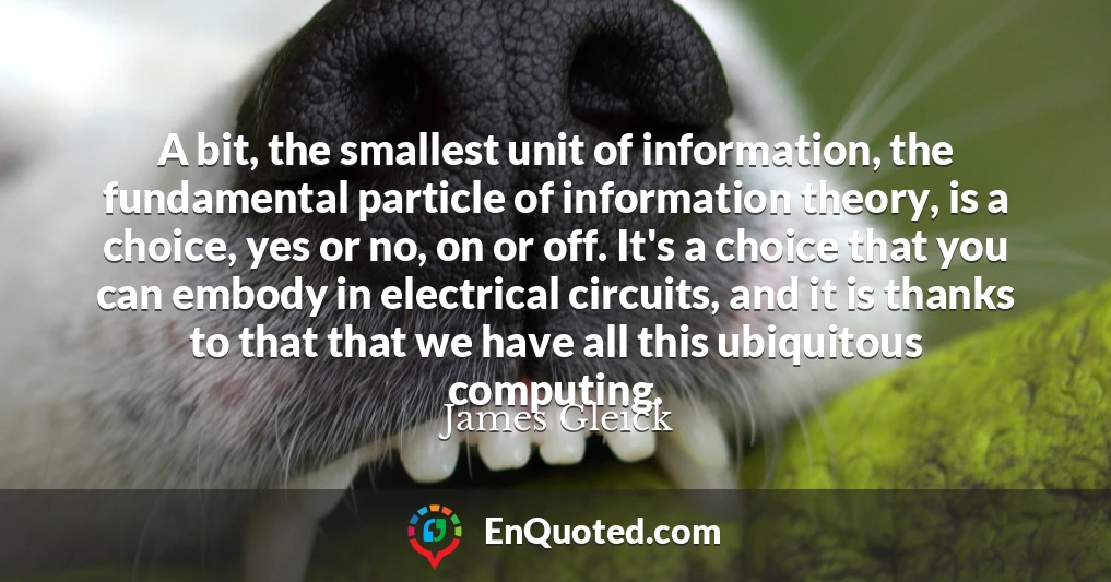 A bit, the smallest unit of information, the fundamental particle of information theory, is a choice, yes or no, on or off. It's a choice that you can embody in electrical circuits, and it is thanks to that that we have all this ubiquitous computing.