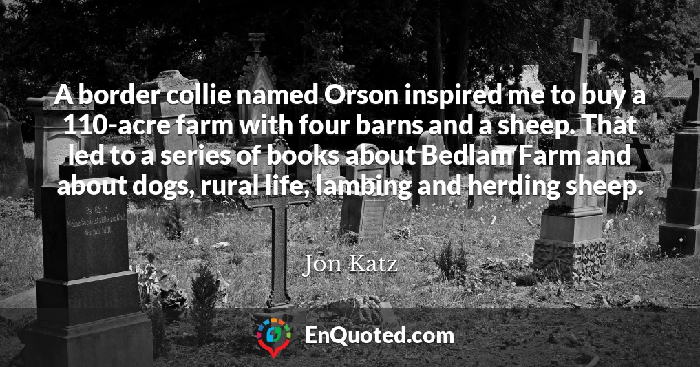 A border collie named Orson inspired me to buy a 110-acre farm with four barns and a sheep. That led to a series of books about Bedlam Farm and about dogs, rural life, lambing and herding sheep.