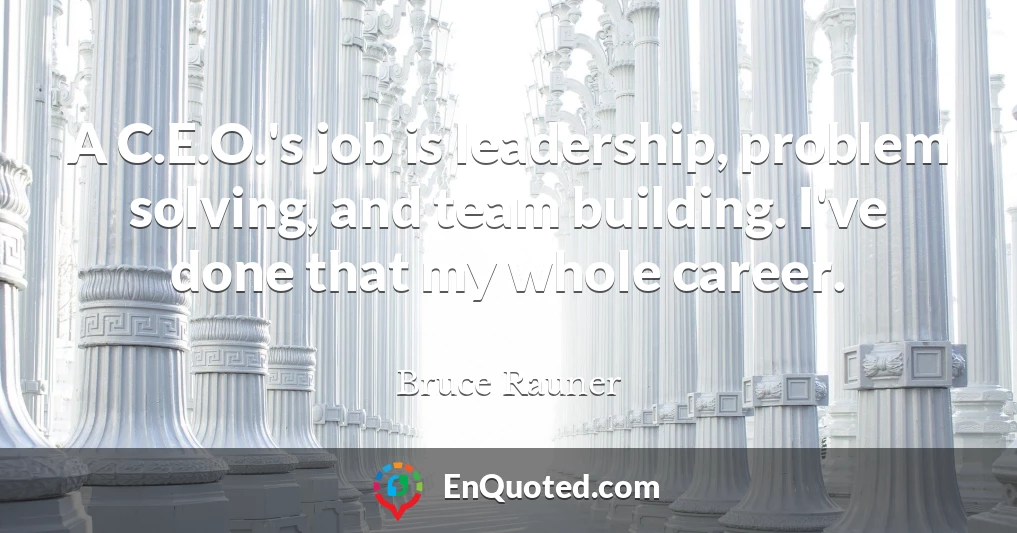 A C.E.O.'s job is leadership, problem solving, and team building. I've done that my whole career.