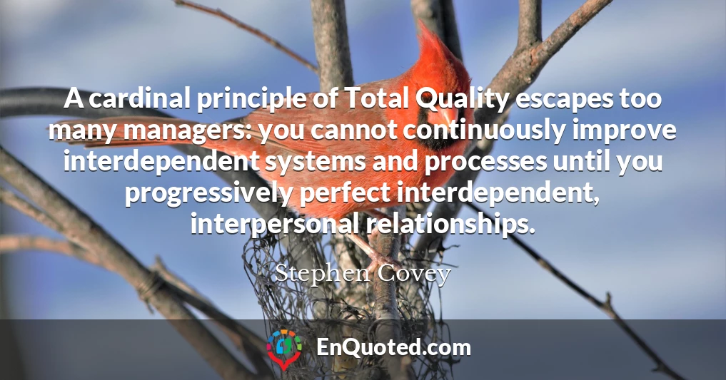 A cardinal principle of Total Quality escapes too many managers: you cannot continuously improve interdependent systems and processes until you progressively perfect interdependent, interpersonal relationships.