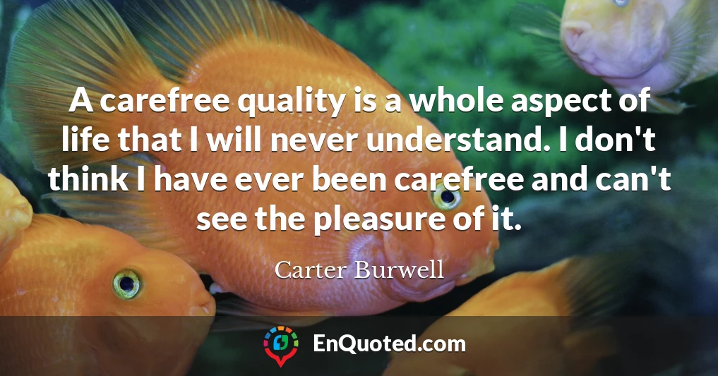A carefree quality is a whole aspect of life that I will never understand. I don't think I have ever been carefree and can't see the pleasure of it.