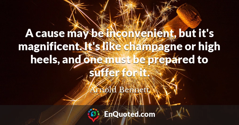 A cause may be inconvenient, but it's magnificent. It's like champagne or high heels, and one must be prepared to suffer for it.