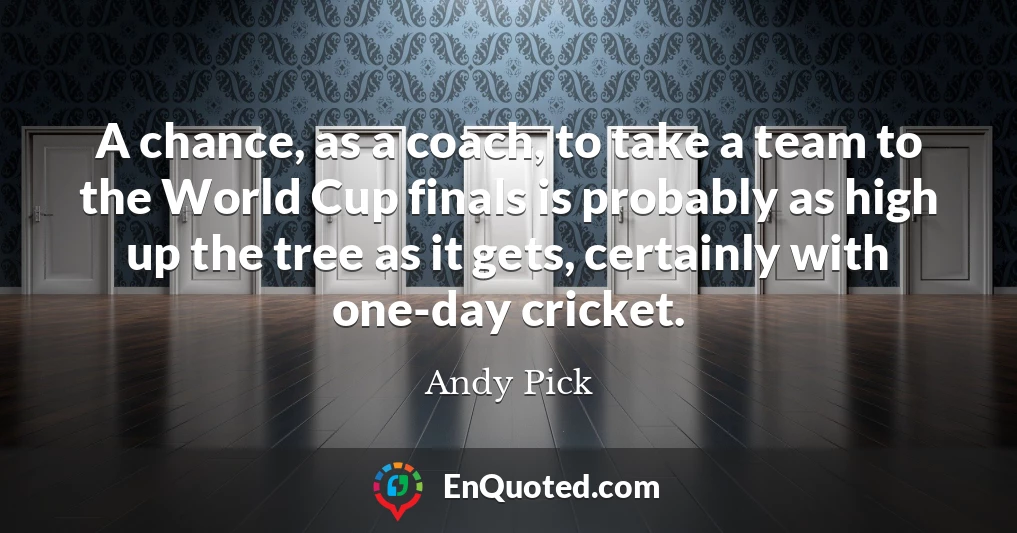 A chance, as a coach, to take a team to the World Cup finals is probably as high up the tree as it gets, certainly with one-day cricket.