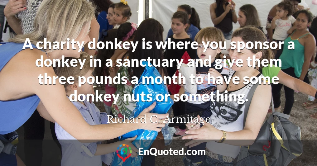 A charity donkey is where you sponsor a donkey in a sanctuary and give them three pounds a month to have some donkey nuts or something.