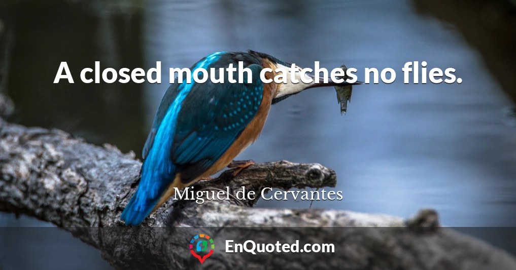 A closed mouth catches no flies.