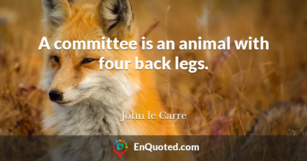 A committee is an animal with four back legs.