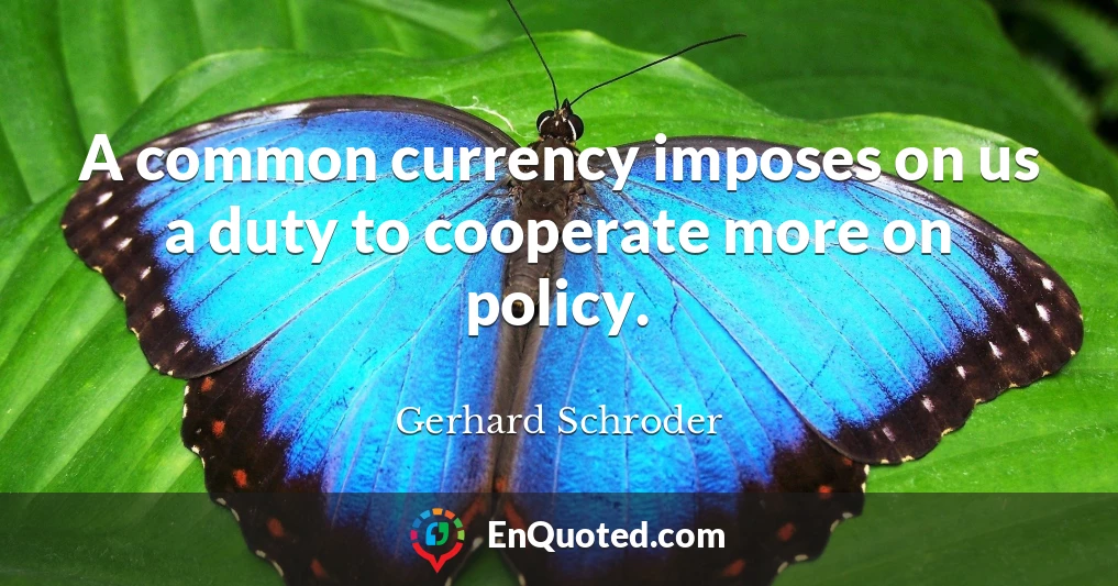 A common currency imposes on us a duty to cooperate more on policy.