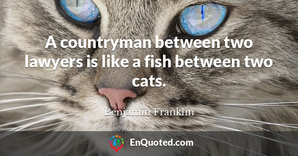 A countryman between two lawyers is like a fish between two cats.