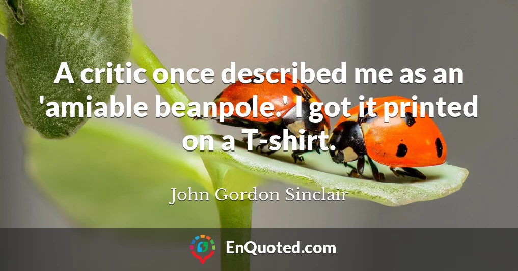 A critic once described me as an 'amiable beanpole.' I got it printed on a T-shirt.