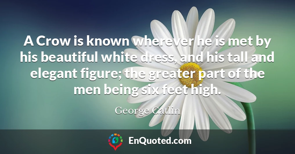 A Crow is known wherever he is met by his beautiful white dress, and his tall and elegant figure; the greater part of the men being six feet high.