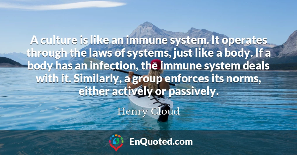 A culture is like an immune system. It operates through the laws of systems, just like a body. If a body has an infection, the immune system deals with it. Similarly, a group enforces its norms, either actively or passively.