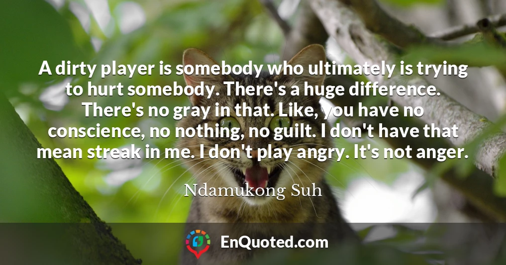 A dirty player is somebody who ultimately is trying to hurt somebody. There's a huge difference. There's no gray in that. Like, you have no conscience, no nothing, no guilt. I don't have that mean streak in me. I don't play angry. It's not anger.