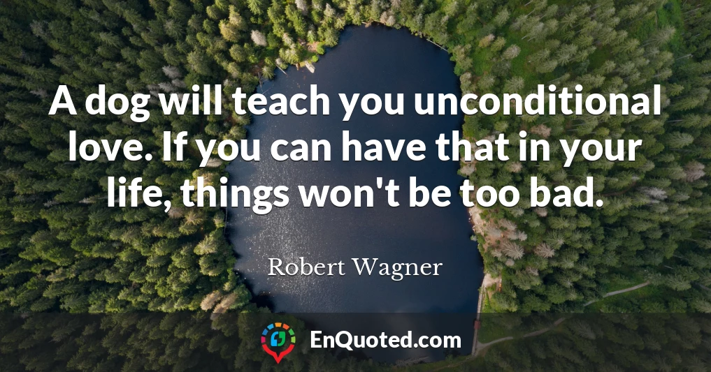 A dog will teach you unconditional love. If you can have that in your life, things won't be too bad.