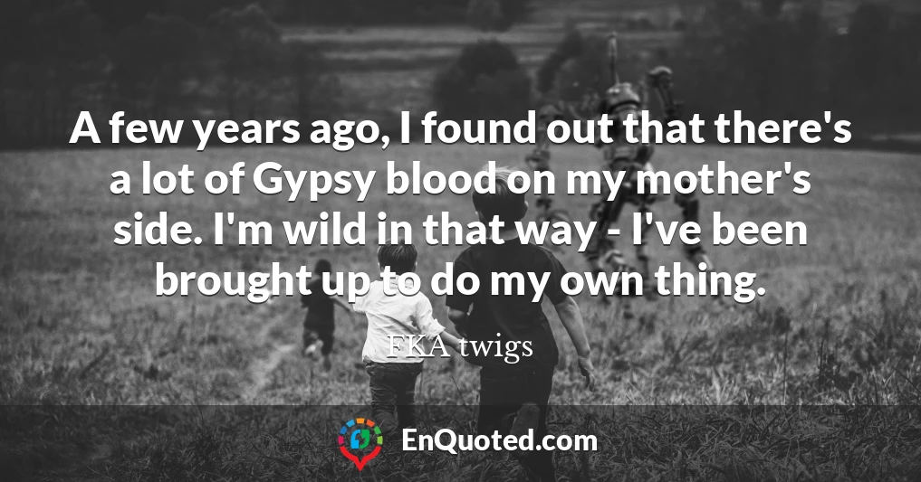 A few years ago, I found out that there's a lot of Gypsy blood on my mother's side. I'm wild in that way - I've been brought up to do my own thing.