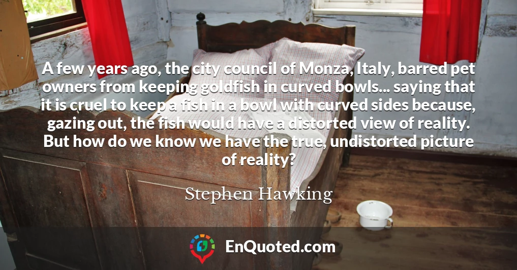 A few years ago, the city council of Monza, Italy, barred pet owners from keeping goldfish in curved bowls... saying that it is cruel to keep a fish in a bowl with curved sides because, gazing out, the fish would have a distorted view of reality. But how do we know we have the true, undistorted picture of reality?