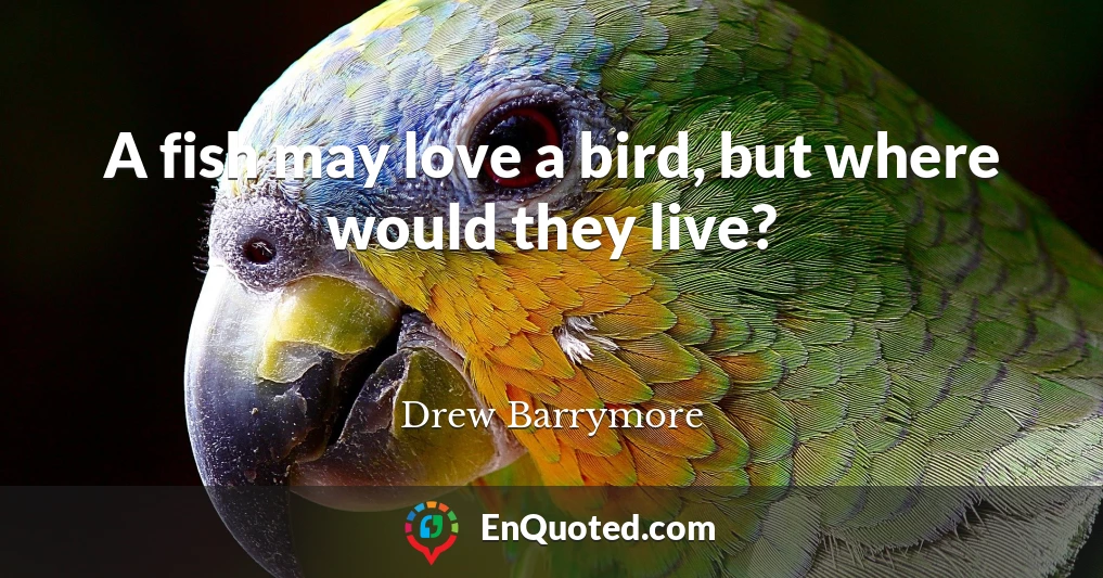 A fish may love a bird, but where would they live?