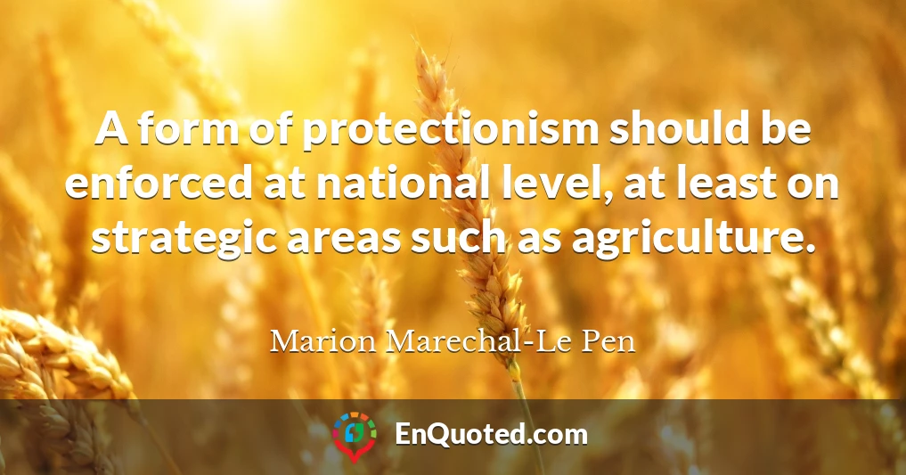 A form of protectionism should be enforced at national level, at least on strategic areas such as agriculture.