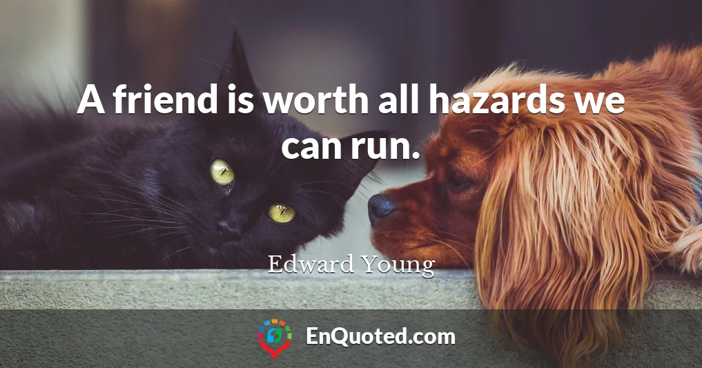 A friend is worth all hazards we can run.