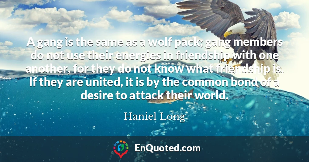 A gang is the same as a wolf pack; gang members do not use their energies in friendship with one another, for they do not know what friendship is. If they are united, it is by the common bond of a desire to attack their world.