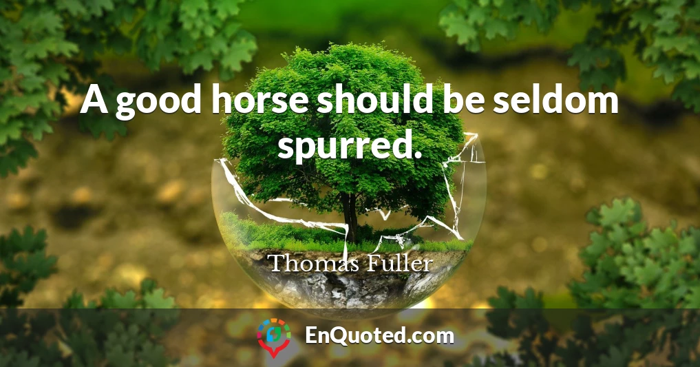 A good horse should be seldom spurred.