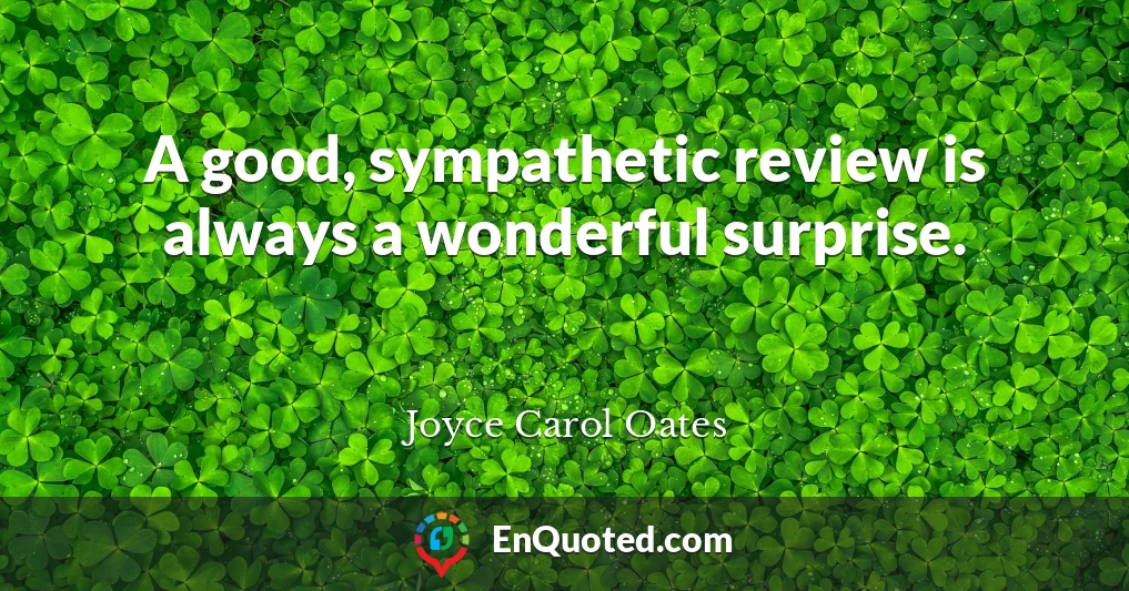 A good, sympathetic review is always a wonderful surprise.
