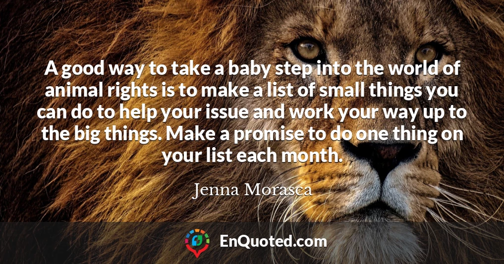 A good way to take a baby step into the world of animal rights is to make a list of small things you can do to help your issue and work your way up to the big things. Make a promise to do one thing on your list each month.