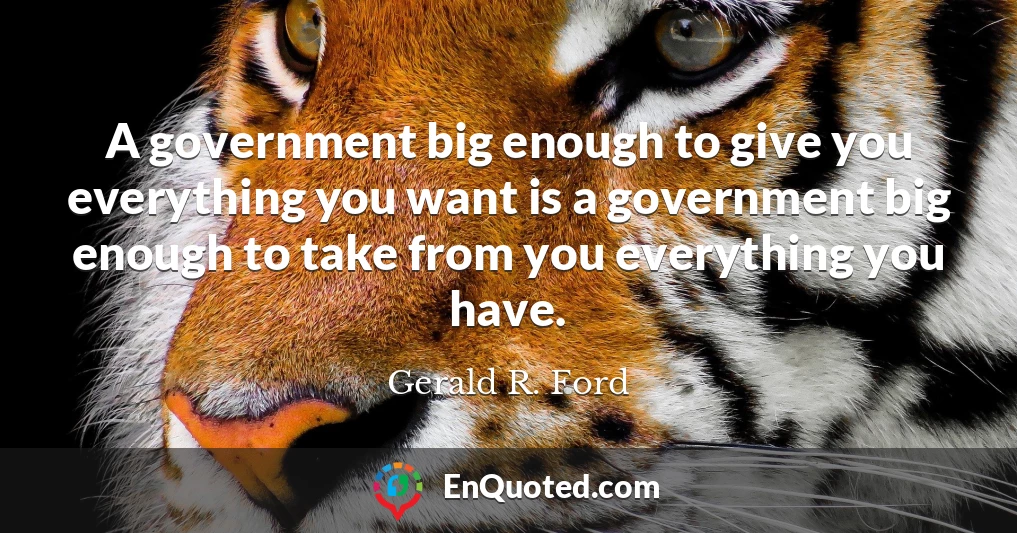 A government big enough to give you everything you want is a government big enough to take from you everything you have.