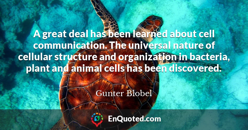 A great deal has been learned about cell communication. The universal nature of cellular structure and organization in bacteria, plant and animal cells has been discovered.